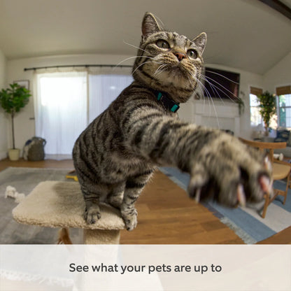 Ring Pan-Tilt Indoor Camera